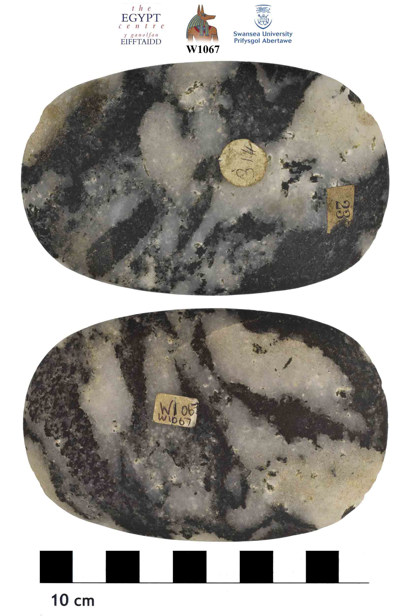 Image for: Palette